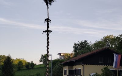 MLAJ V PIŠECAH